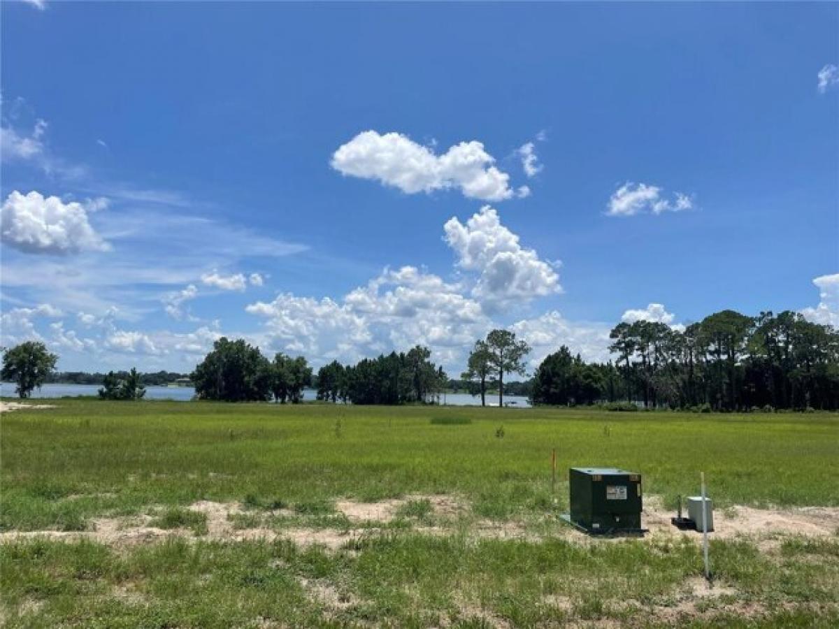 Picture of Residential Land For Sale in Umatilla, Florida, United States