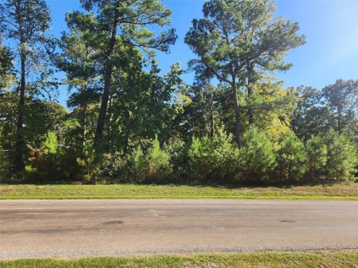 Picture of Residential Land For Sale in Pointblank, Texas, United States