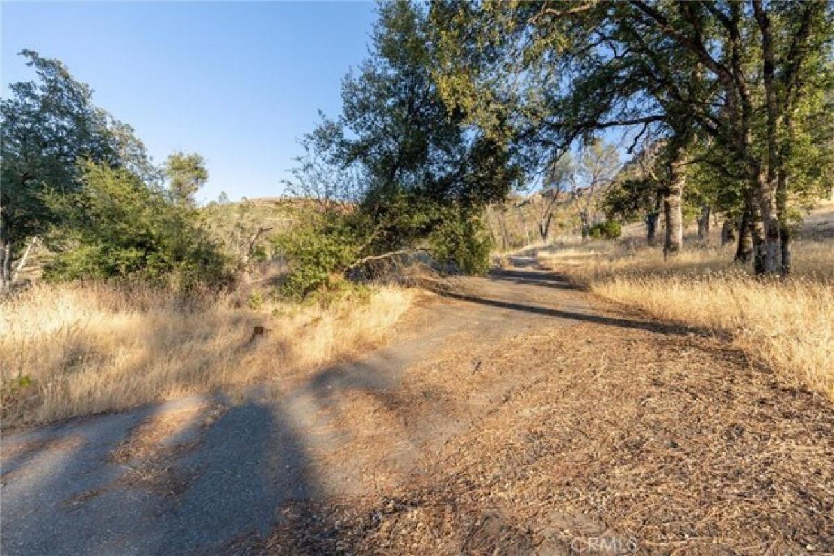 Picture of Residential Land For Sale in Chico, California, United States