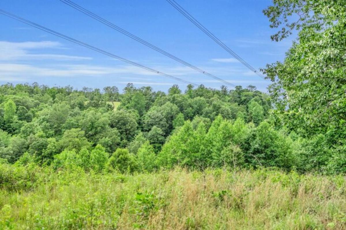 Picture of Residential Land For Sale in Pegram, Tennessee, United States