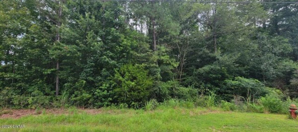 Picture of Residential Land For Sale in Henderson, Tennessee, United States