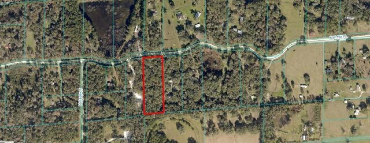 Picture of Residential Land For Sale in Reddick, Florida, United States