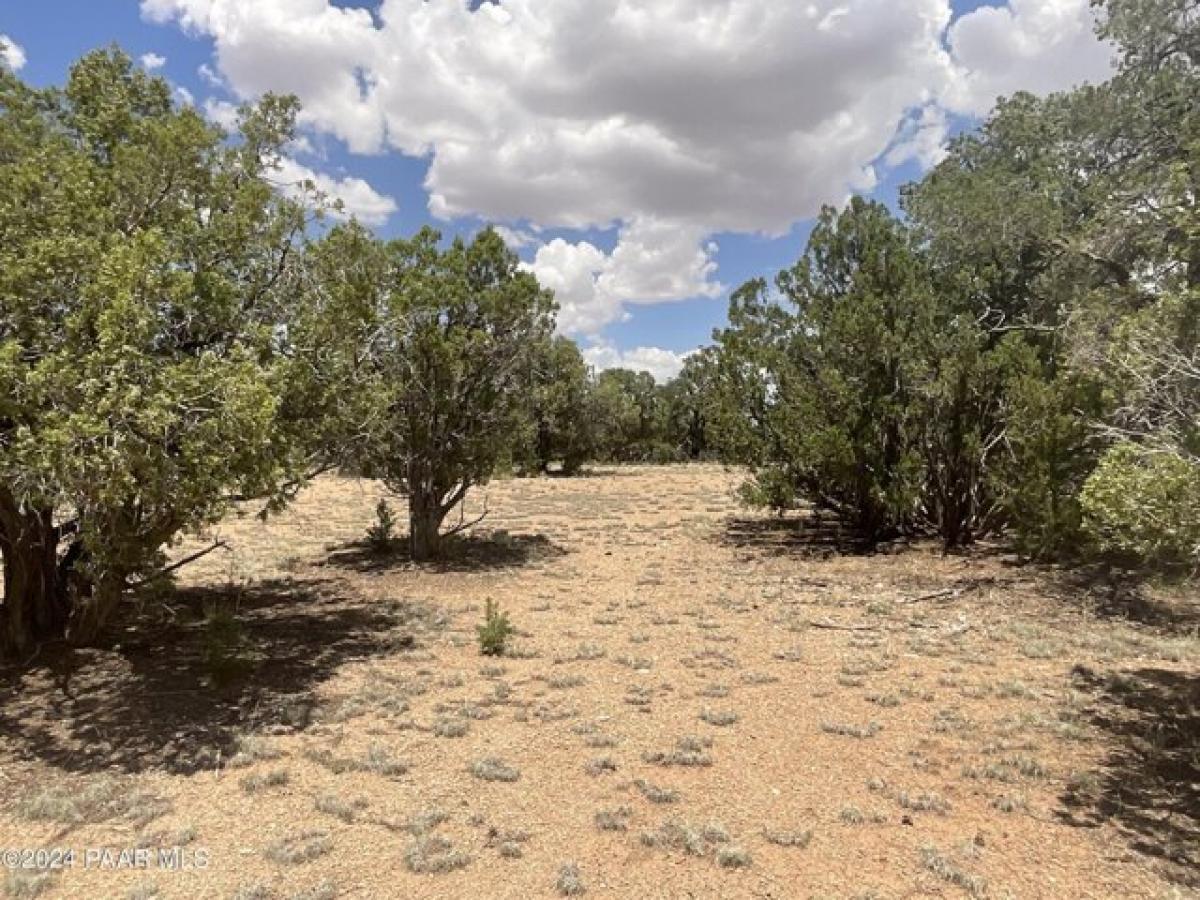 Picture of Residential Land For Sale in Seligman, Arizona, United States