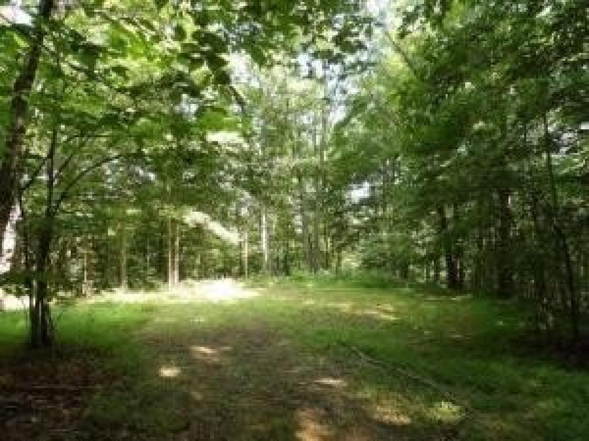 Picture of Residential Land For Sale in Monticello, Kentucky, United States