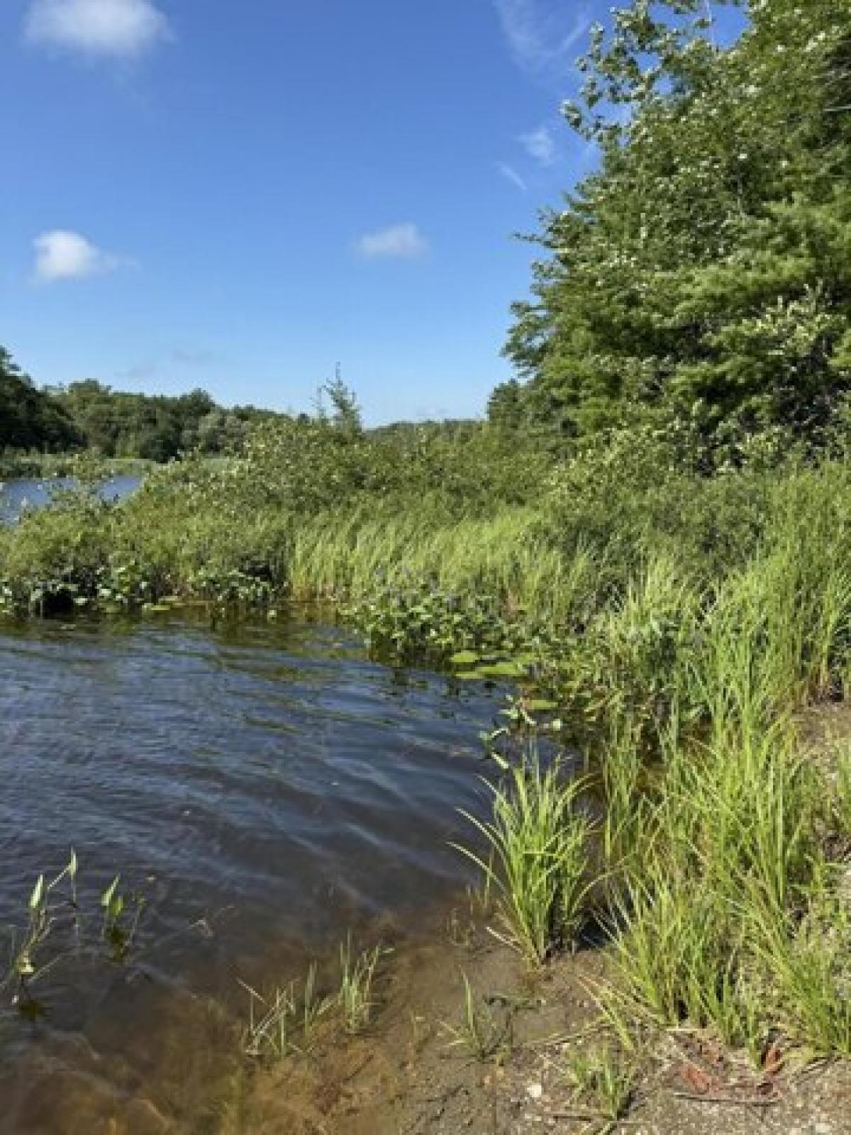 Picture of Residential Land For Sale in Bath, Maine, United States