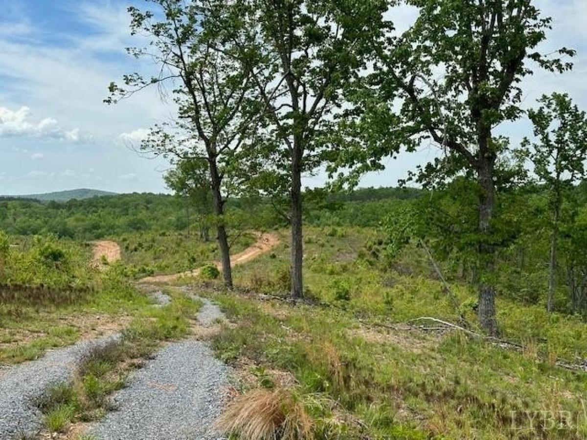 Picture of Residential Land For Sale in Lynch Station, Virginia, United States