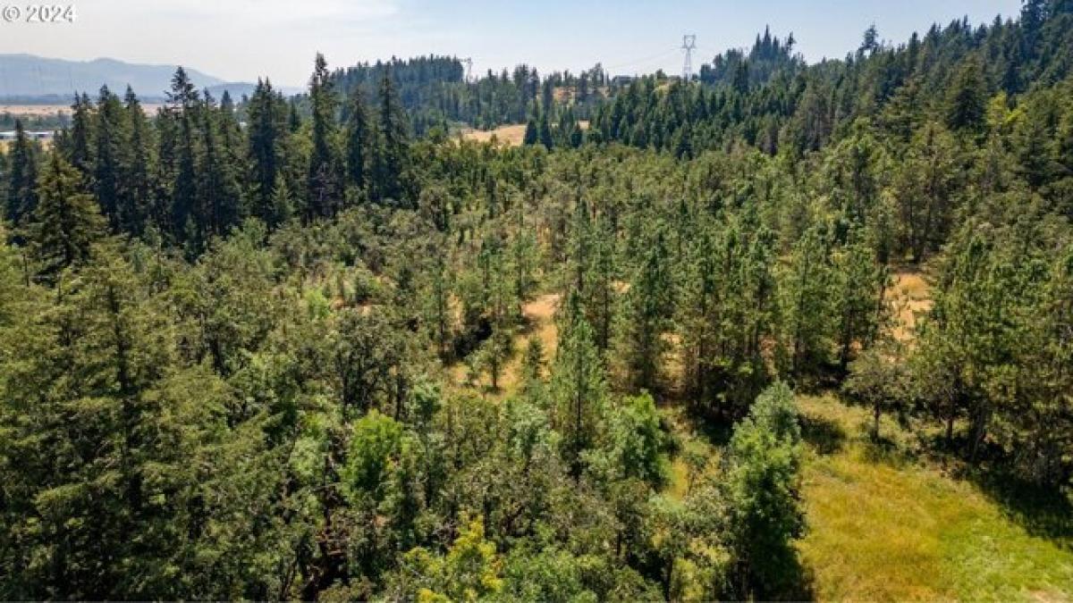 Picture of Residential Land For Sale in Eugene, Oregon, United States