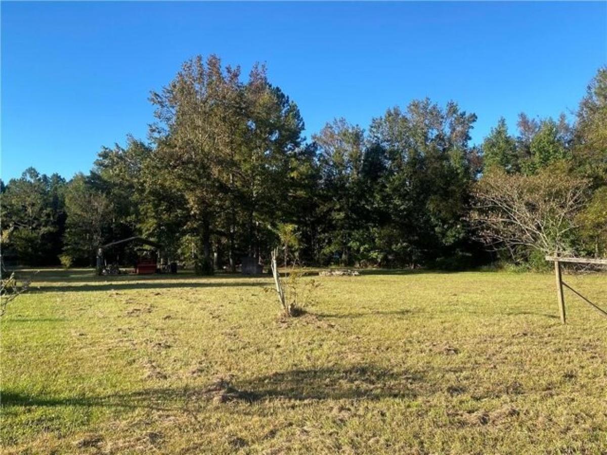 Picture of Residential Land For Sale in Townsend, Georgia, United States