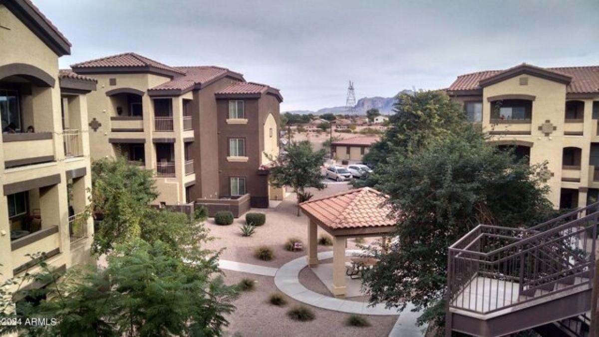 Picture of Apartment For Rent in Mesa, Arizona, United States