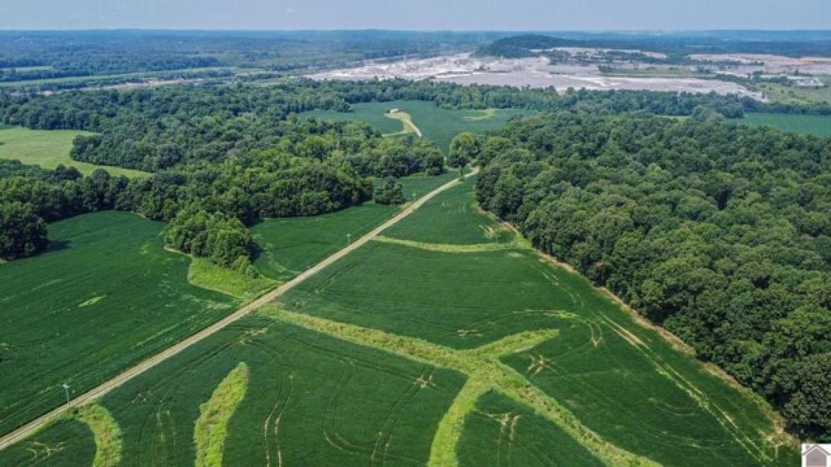 Picture of Residential Land For Sale in Salem, Kentucky, United States