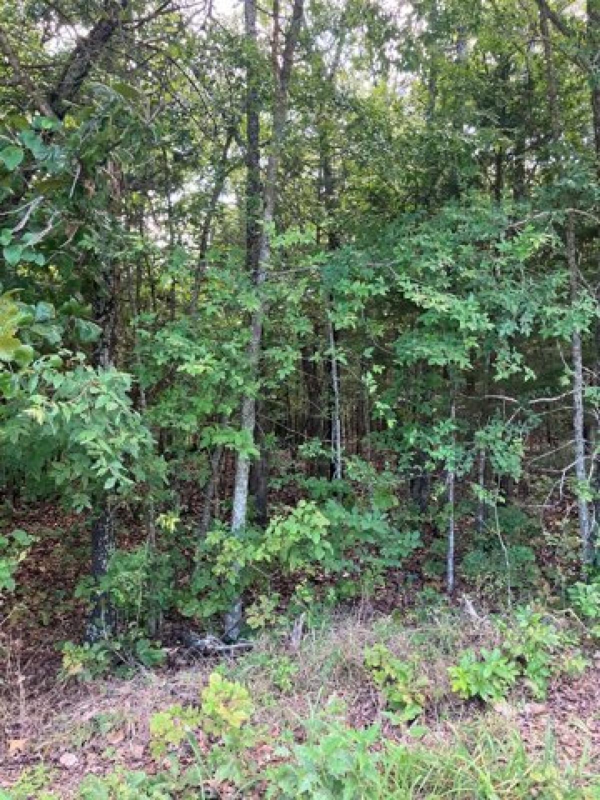 Picture of Residential Land For Sale in Mountain Home, Arkansas, United States