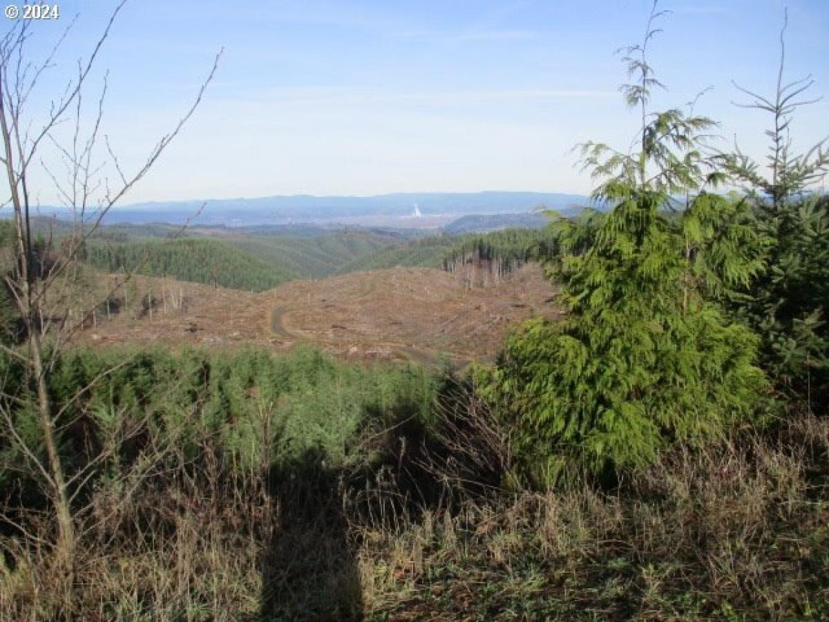 Picture of Residential Land For Sale in Clatskanie, Oregon, United States