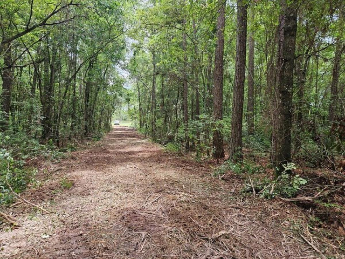 Picture of Residential Land For Sale in Tifton, Georgia, United States