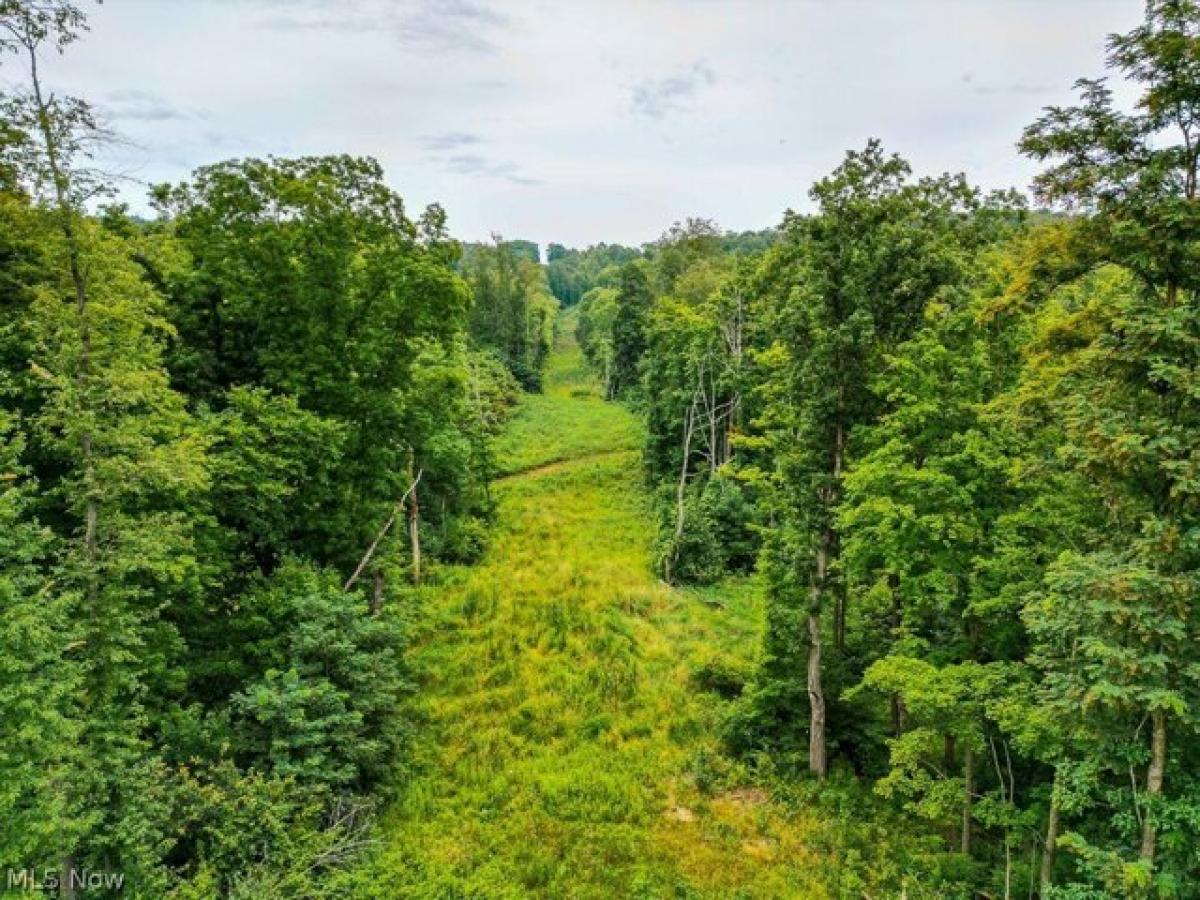 Picture of Residential Land For Sale in Navarre, Ohio, United States