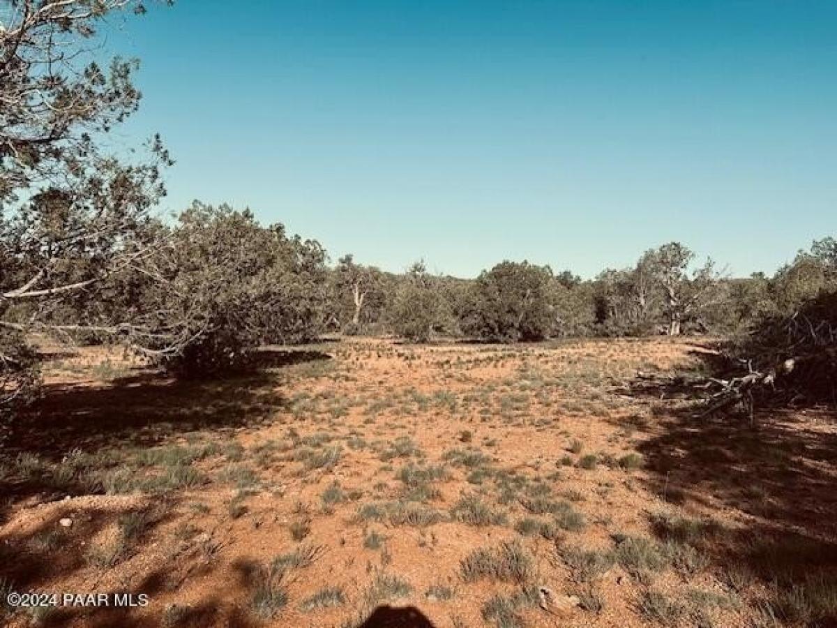 Picture of Residential Land For Sale in Seligman, Arizona, United States