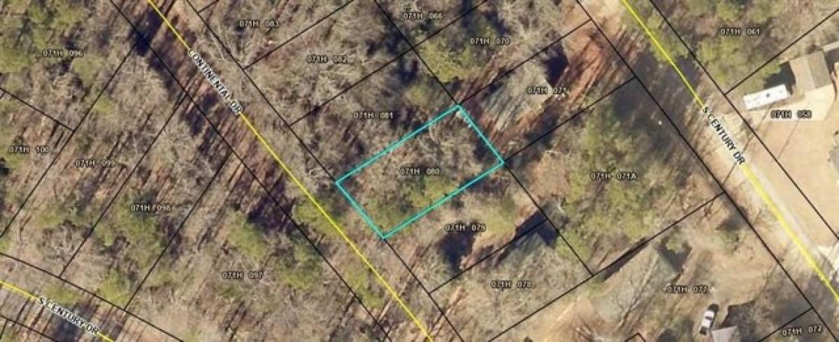 Picture of Residential Land For Rent in Martin, Georgia, United States