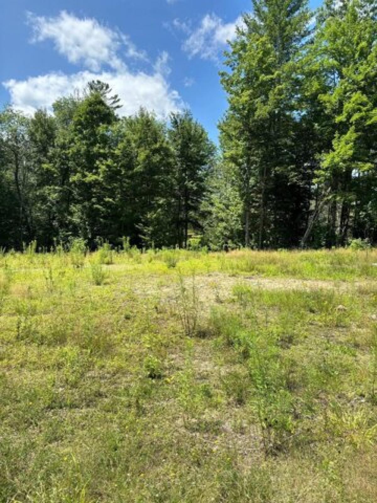 Picture of Residential Land For Sale in Jay, Maine, United States