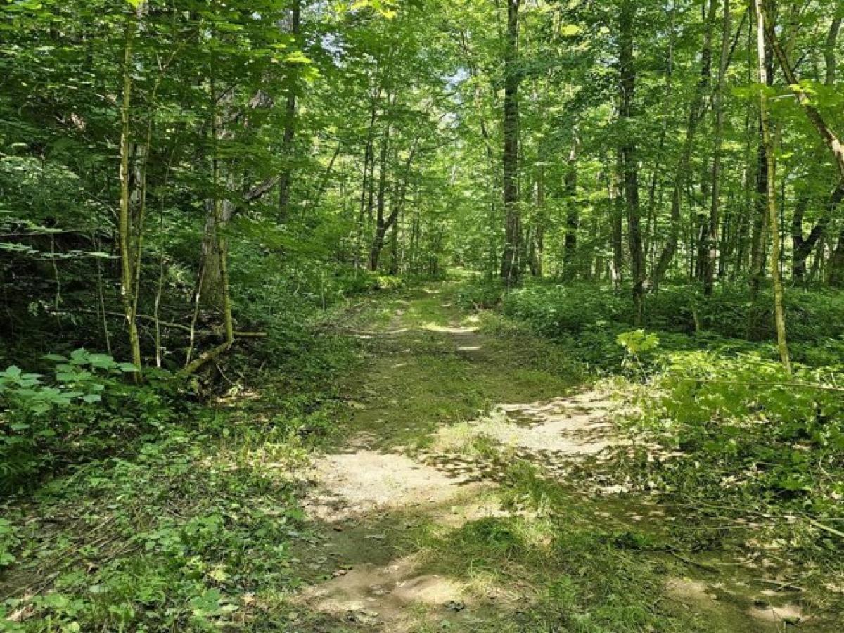 Picture of Residential Land For Sale in Andover, Maine, United States