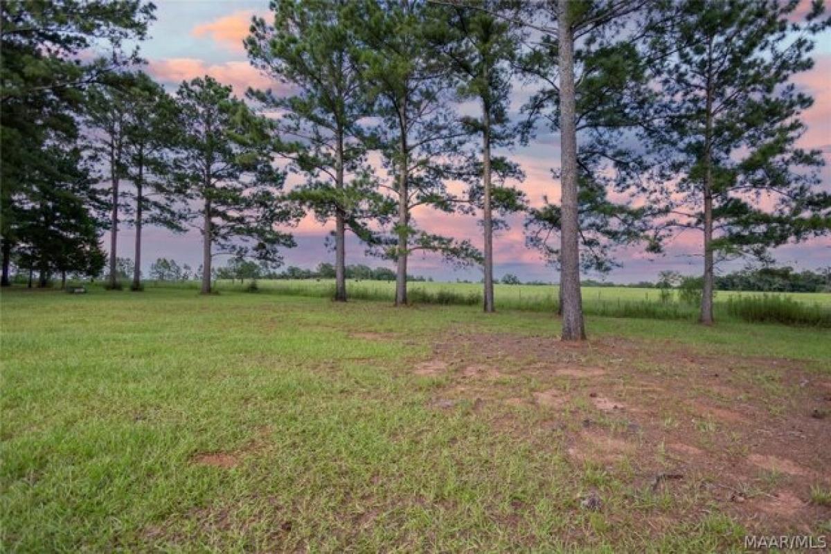 Picture of Home For Sale in Chancellor, Alabama, United States