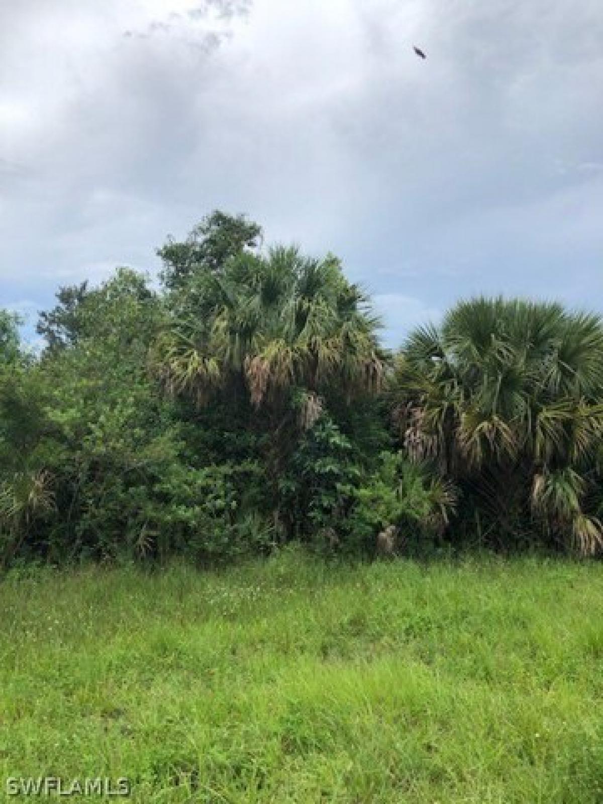 Picture of Residential Land For Sale in Moore Haven, Florida, United States