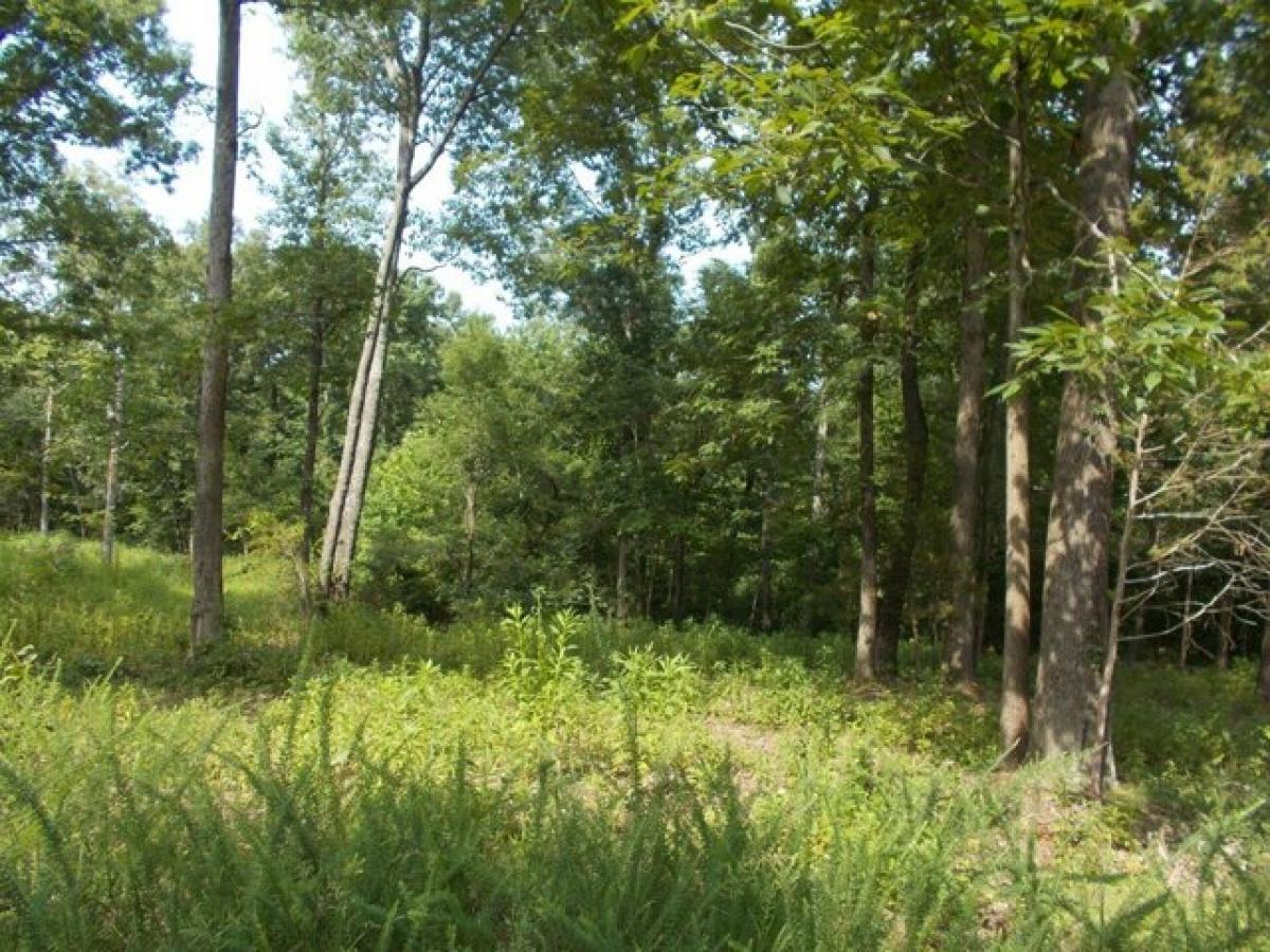 Picture of Residential Land For Sale in Camden, Tennessee, United States