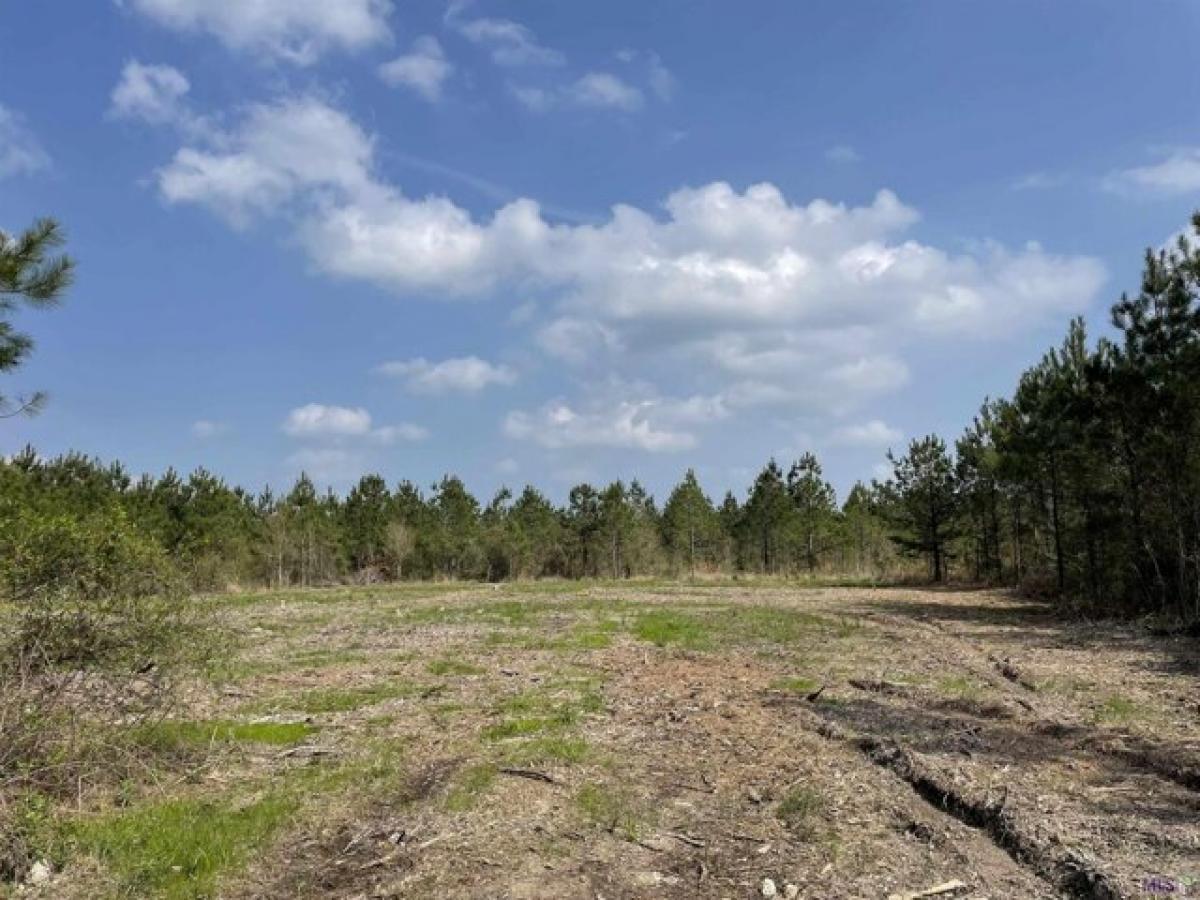 Picture of Residential Land For Sale in Holden, Louisiana, United States