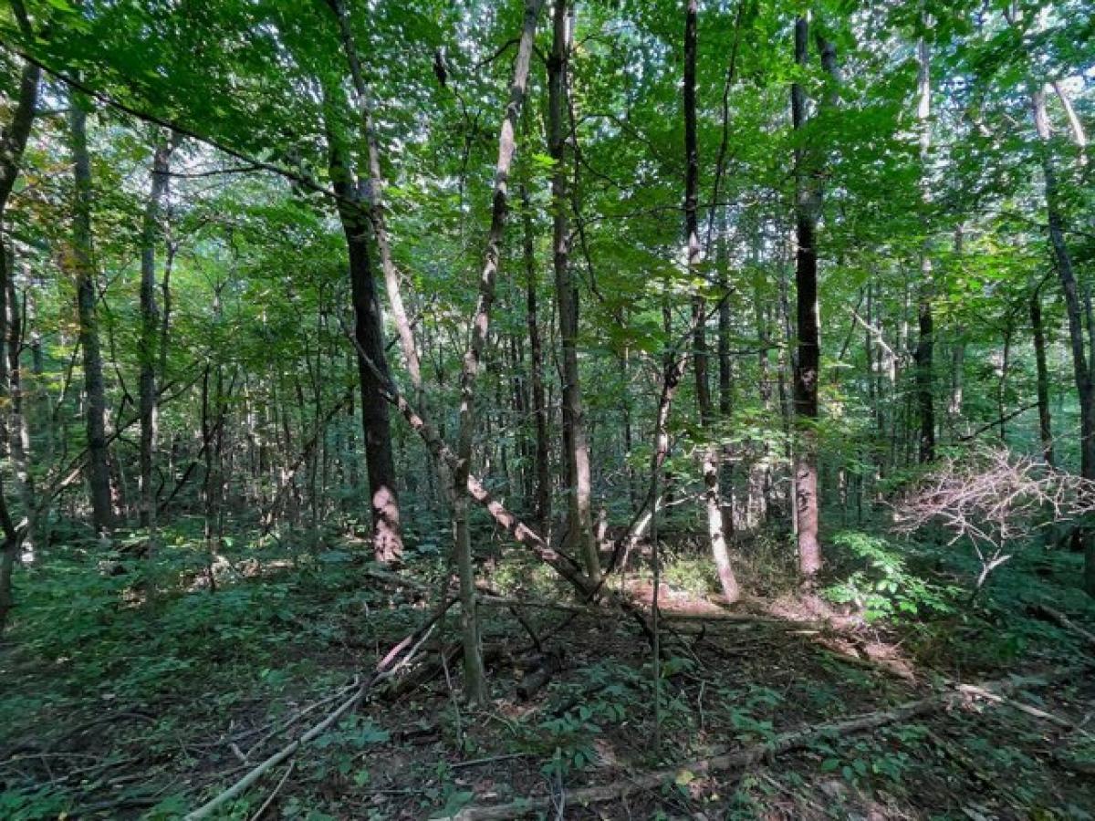 Picture of Home For Sale in McArthur, Ohio, United States