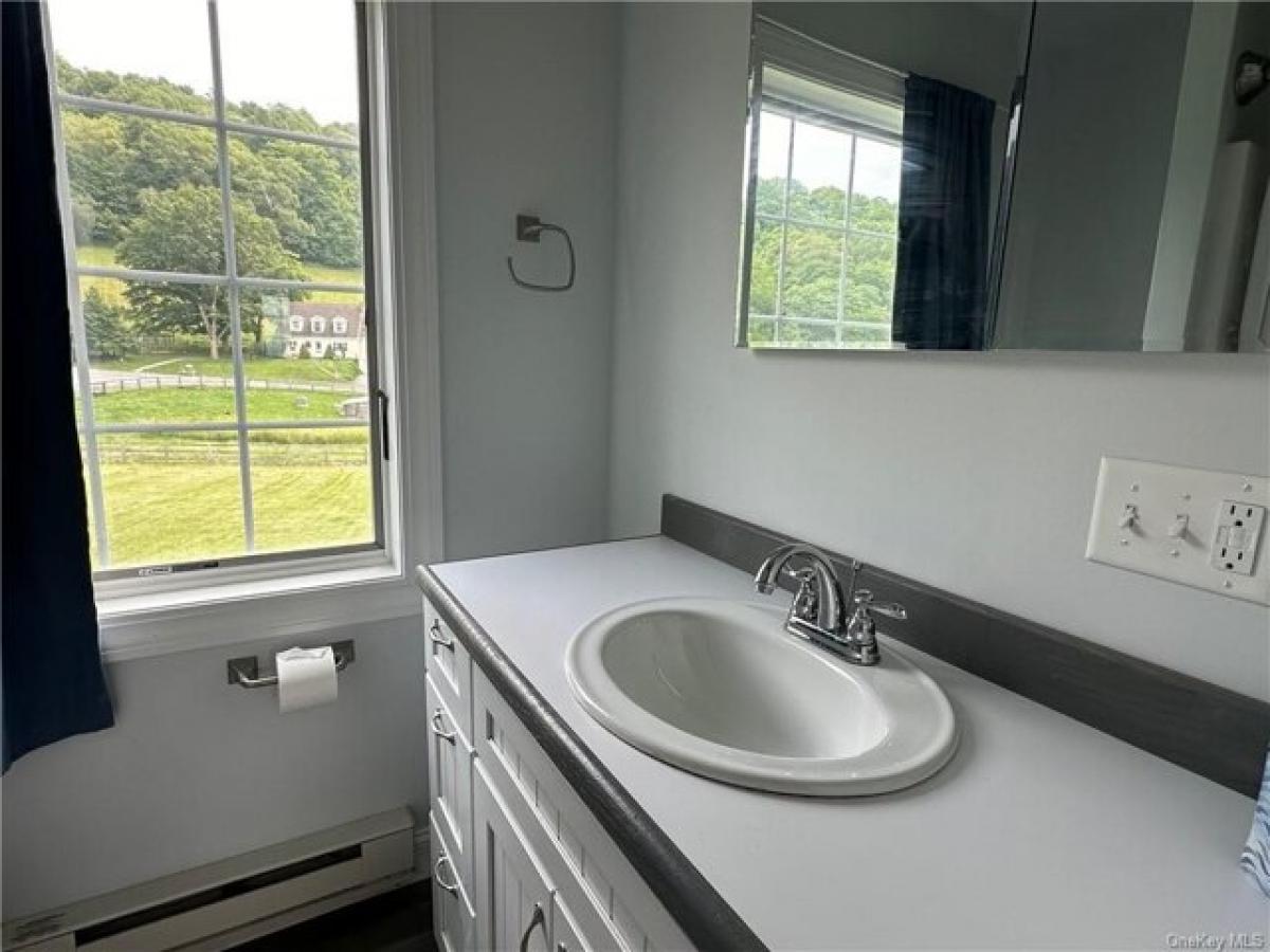 Picture of Apartment For Rent in Ancramdale, New York, United States