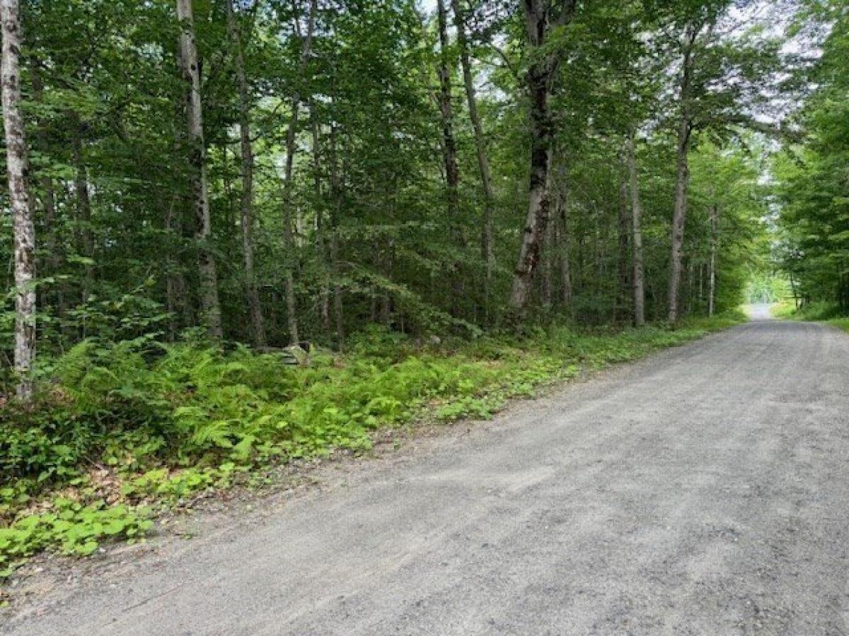 Picture of Residential Land For Sale in Plainfield, Massachusetts, United States