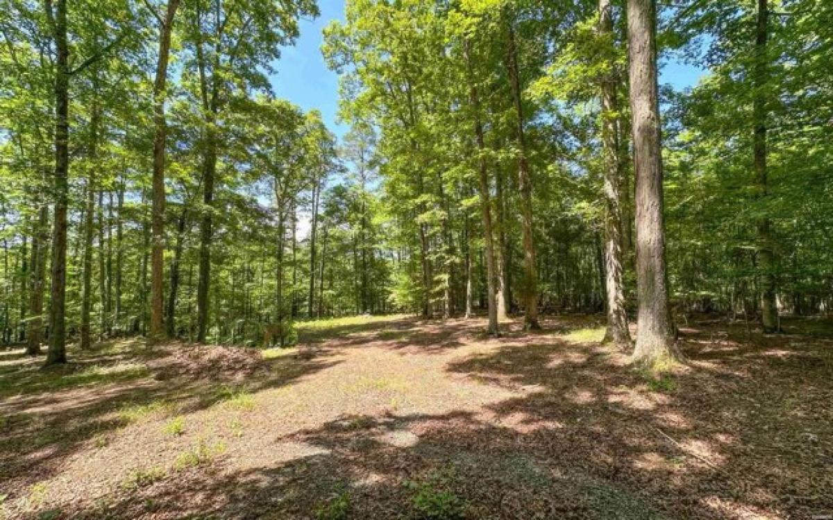 Picture of Residential Land For Sale in Jessieville, Arkansas, United States