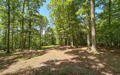 Residential Land For Sale in Jessieville, Arkansas