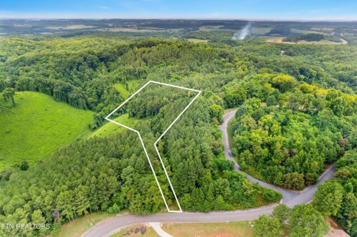 Picture of Residential Land For Sale in Vonore, Tennessee, United States