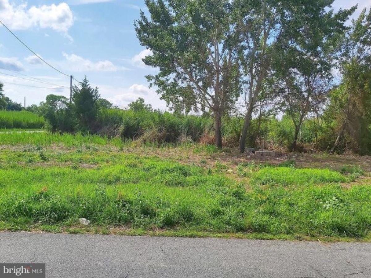 Picture of Residential Land For Sale in Smyrna, Delaware, United States