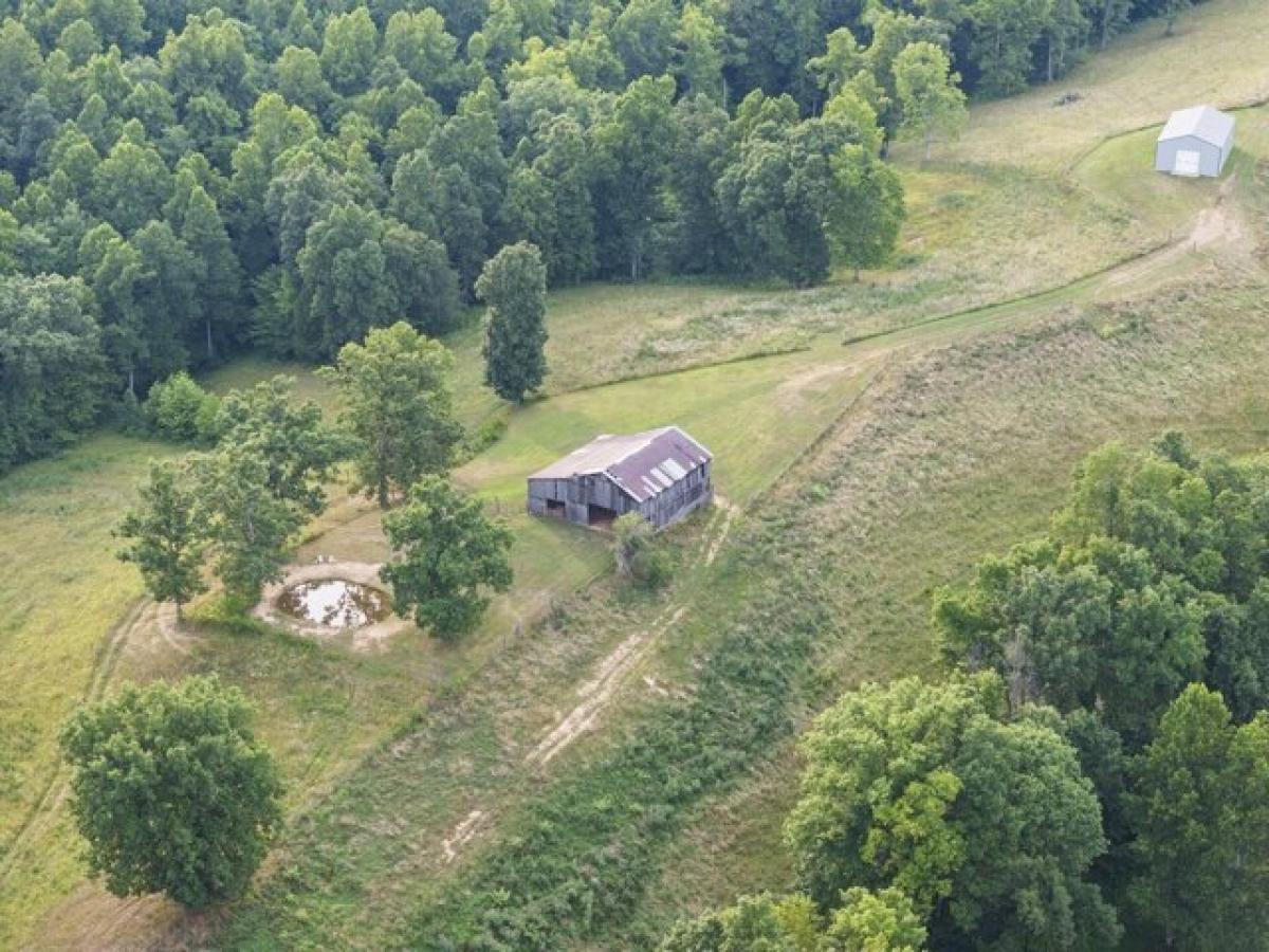 Picture of Residential Land For Sale in West Liberty, Kentucky, United States