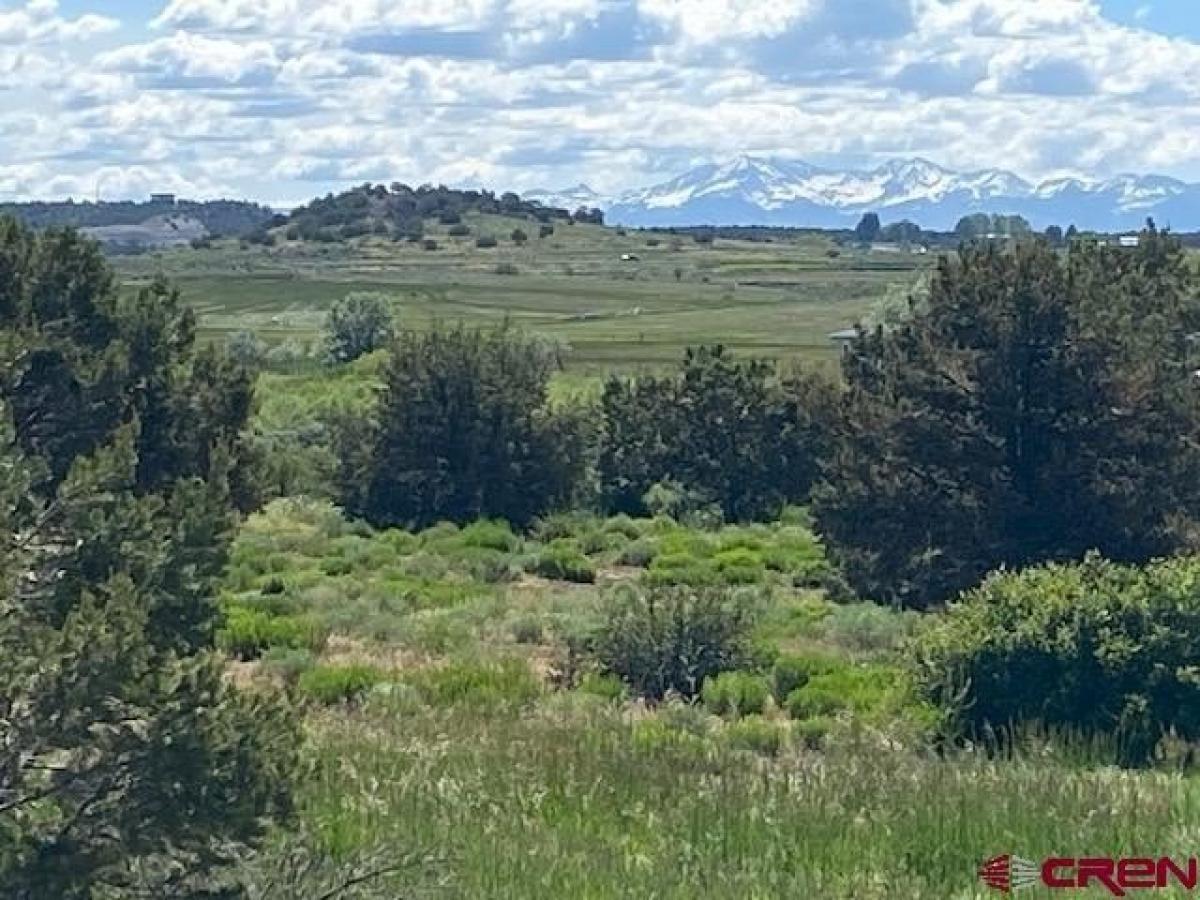 Picture of Residential Land For Sale in Lewis, Colorado, United States