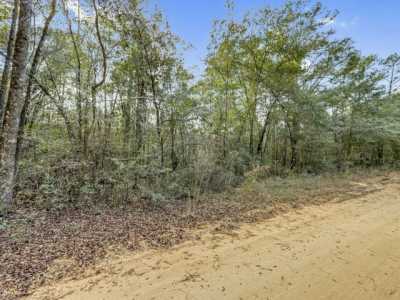 Residential Land For Sale in Ponce de Leon, Florida