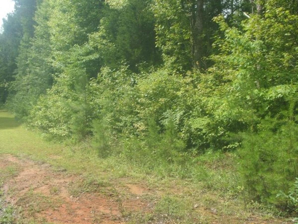 Picture of Residential Land For Sale in Keysville, Virginia, United States