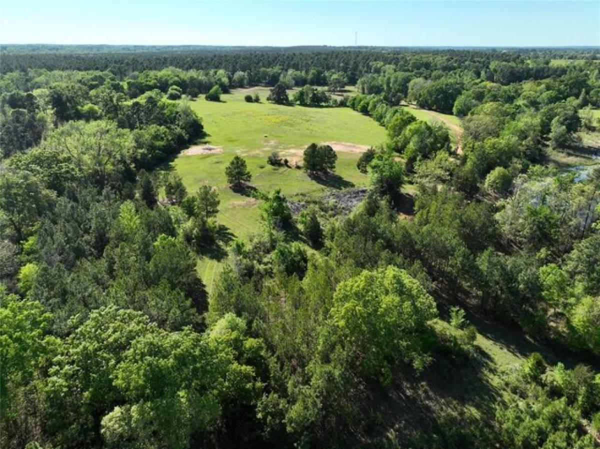 Picture of Residential Land For Sale in Gilmer, Texas, United States