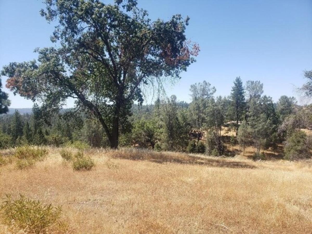 Picture of Residential Land For Sale in Mountain Ranch, California, United States