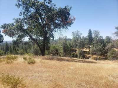 Residential Land For Sale in Mountain Ranch, California