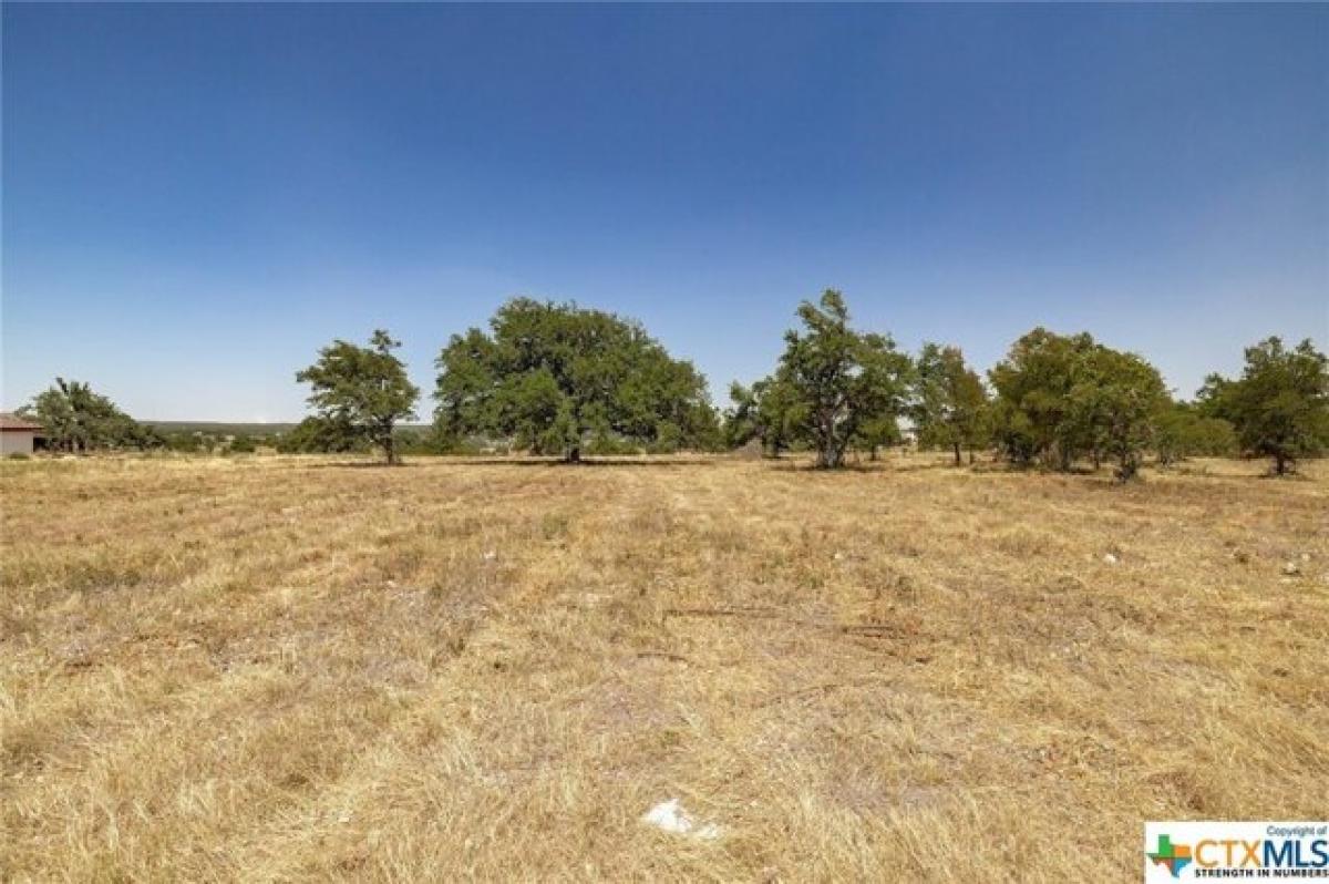 Picture of Residential Land For Sale in Florence, Texas, United States