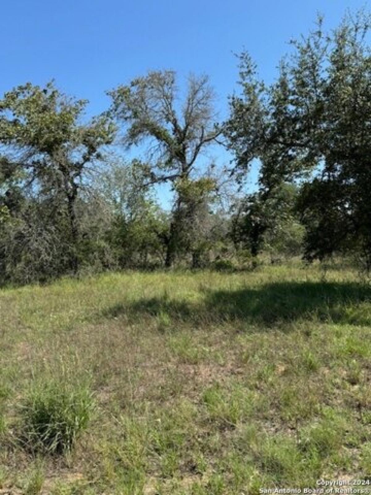 Picture of Residential Land For Sale in Natalia, Texas, United States