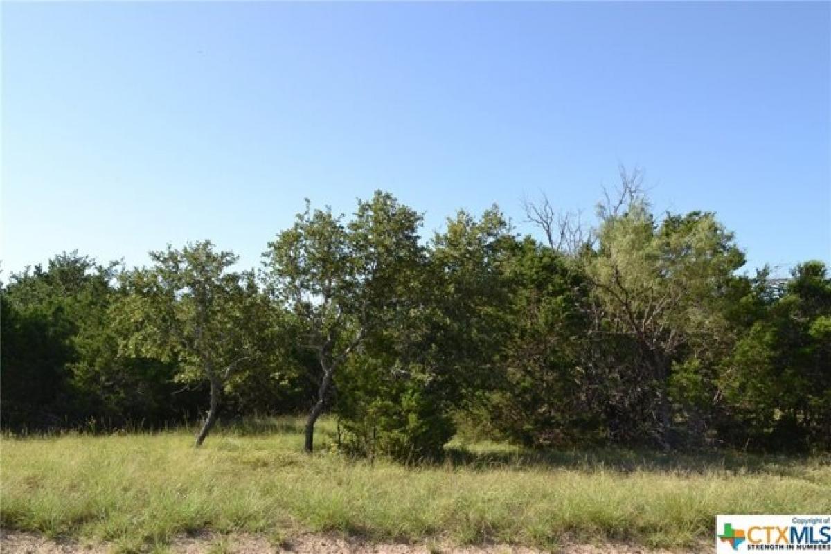 Picture of Residential Land For Sale in Kempner, Texas, United States