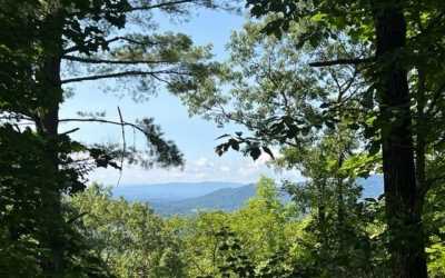 Residential Land For Sale in Hiawassee, Georgia