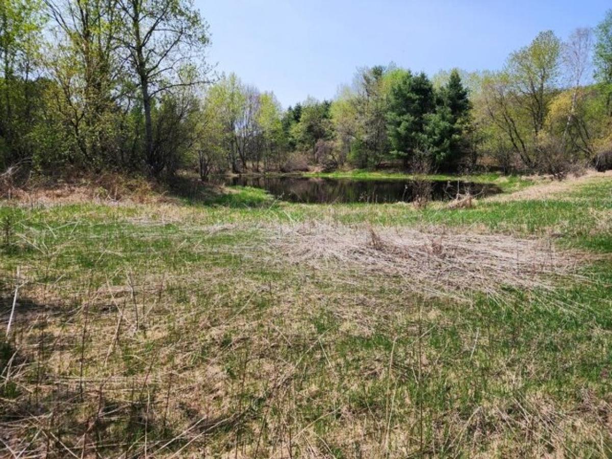 Picture of Residential Land For Sale in Crandon, Wisconsin, United States