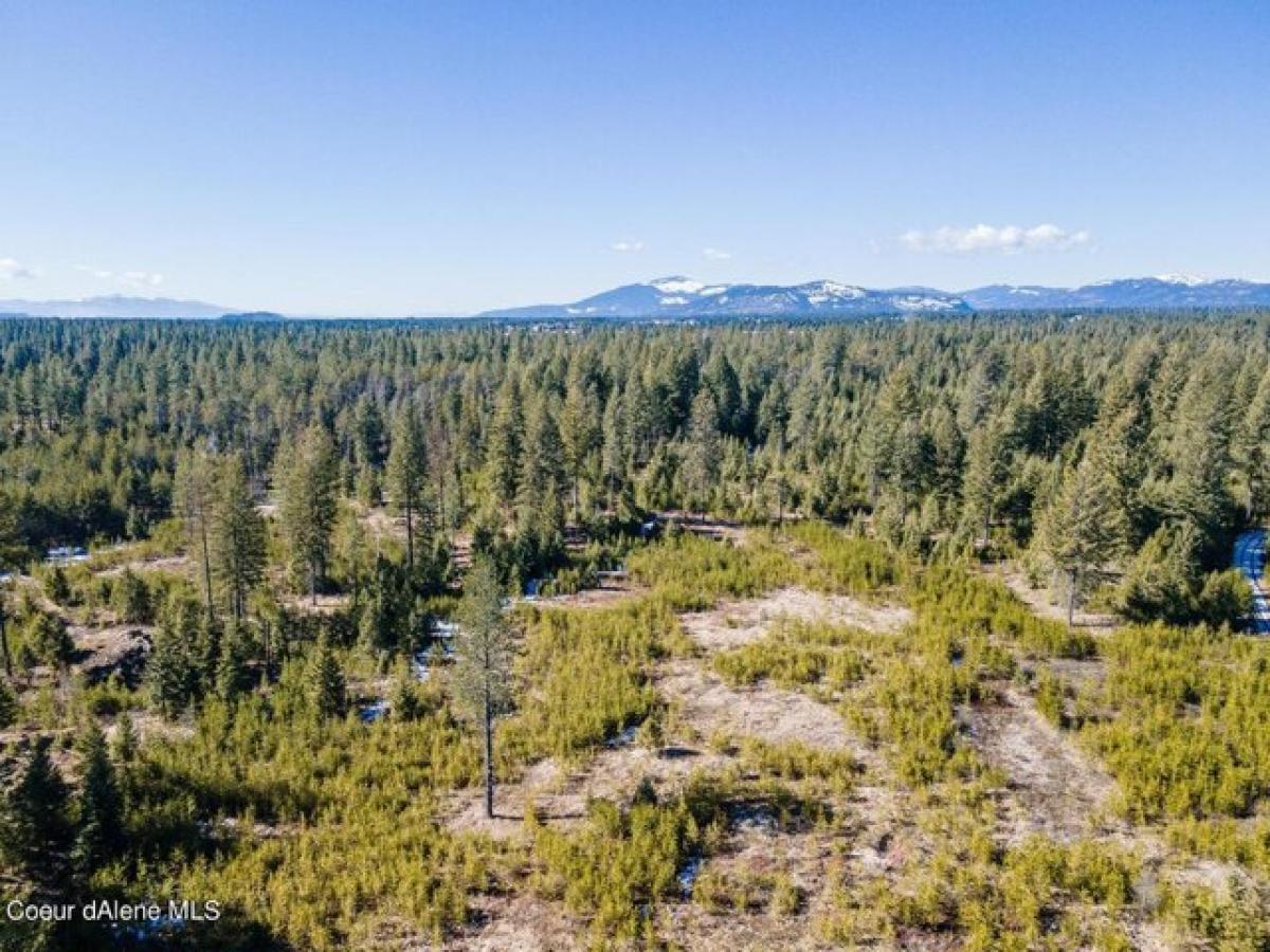 Picture of Residential Land For Sale in Athol, Idaho, United States