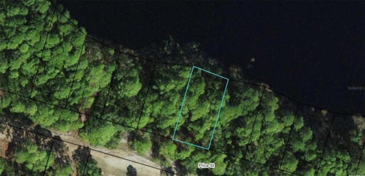 Picture of Residential Land For Sale in Sopchoppy, Florida, United States