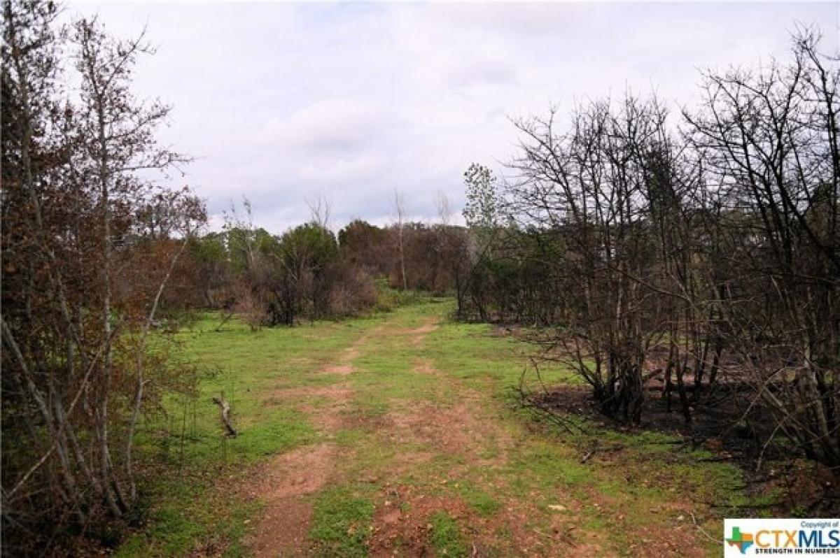 Picture of Residential Land For Sale in Bastrop, Texas, United States