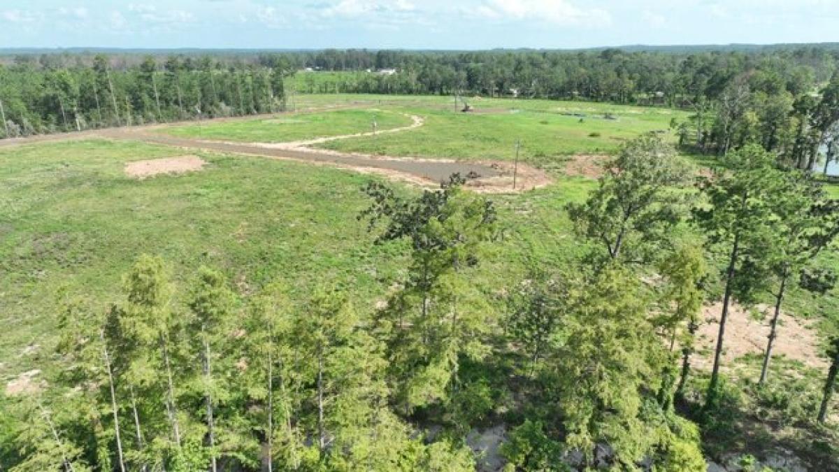 Picture of Residential Land For Sale in Florien, Louisiana, United States