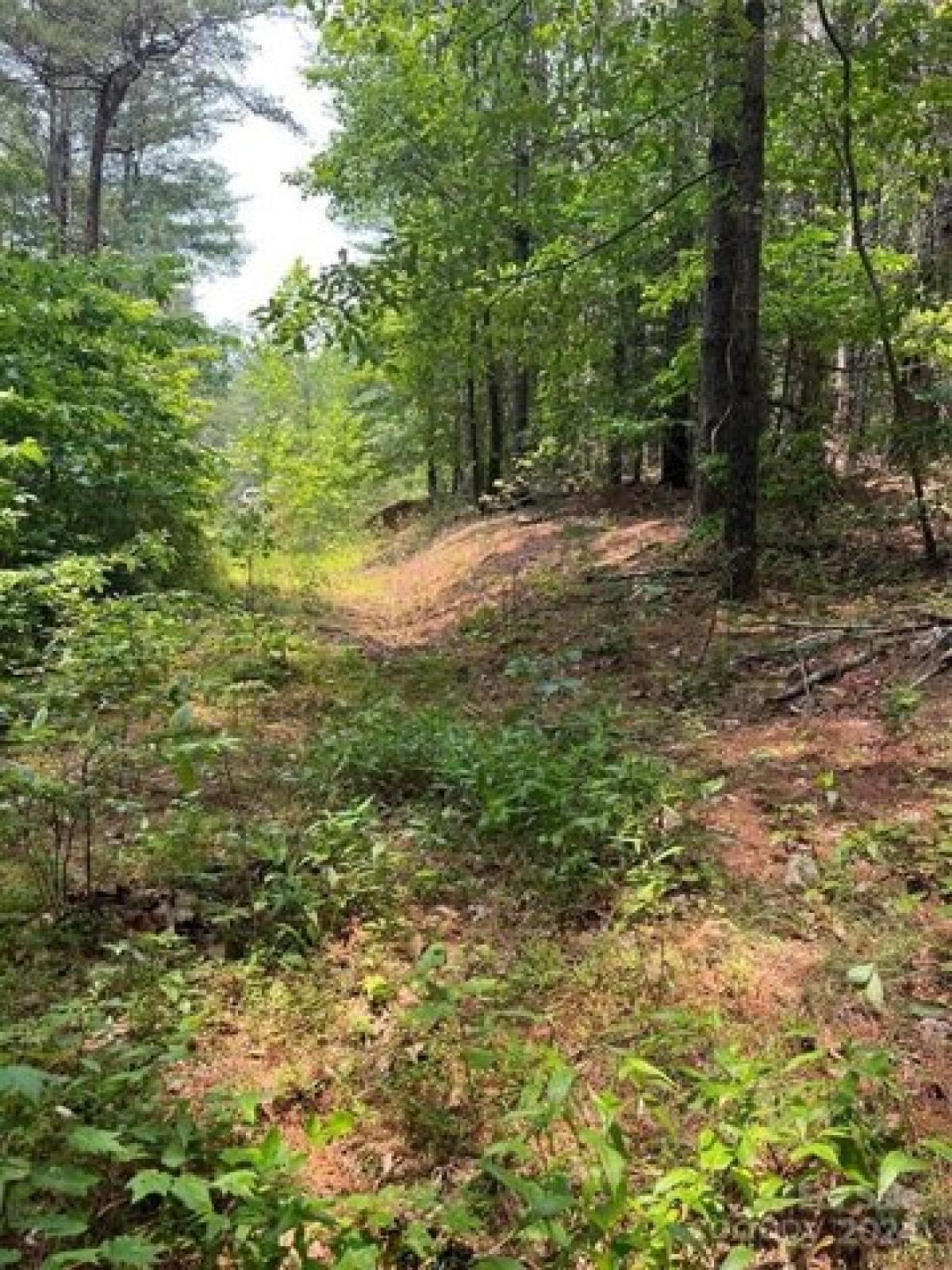 Picture of Residential Land For Sale in Nebo, North Carolina, United States